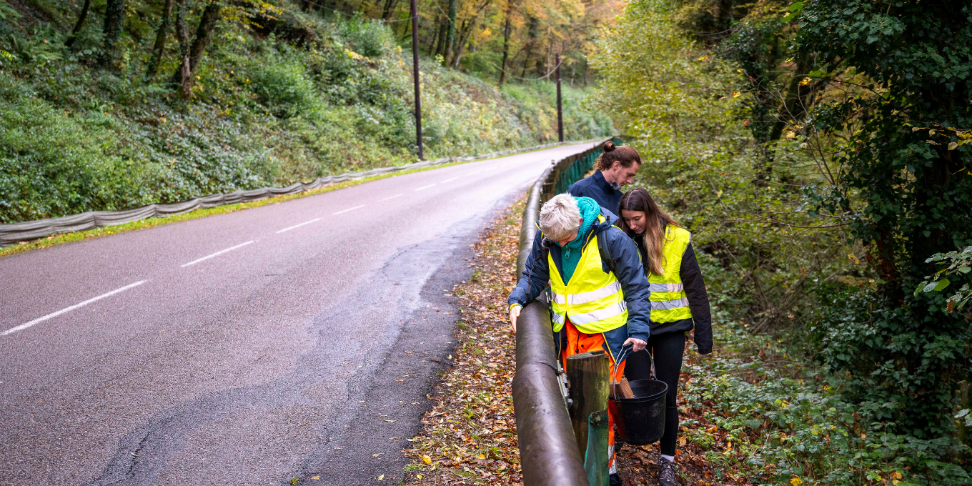 Chantier de montage du dispositif de sauvetage routier des amphibiens à Vorges-les-Pins